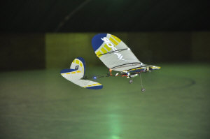 1_dsc8850.jpg (64853 bytes)