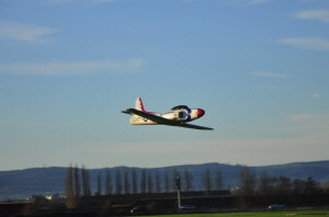 1dsc8818.jpg (54040 bytes)