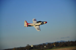 1dsc8819.jpg (51392 bytes)