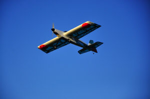 1dsc8828.jpg (65266 bytes)